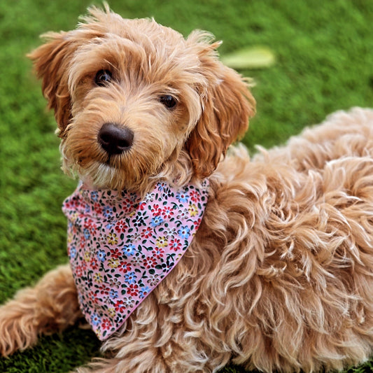 Bandana reversible mascota - Hecho a mano